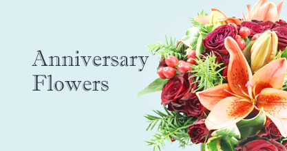 Alperton Anniversary Flowers